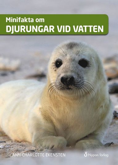 bokomslag Minifakta om djurungar vid vatten