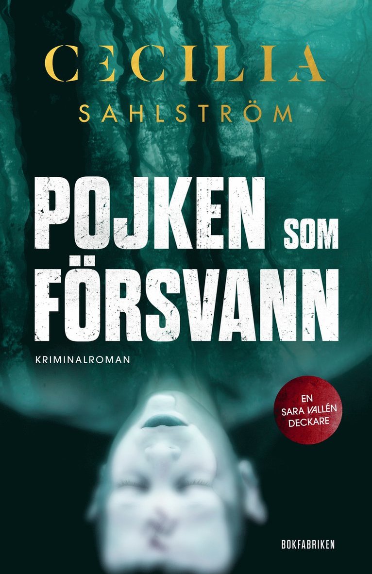 Pojken som försvann 1