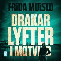 bokomslag Drakar lyfter i motvind