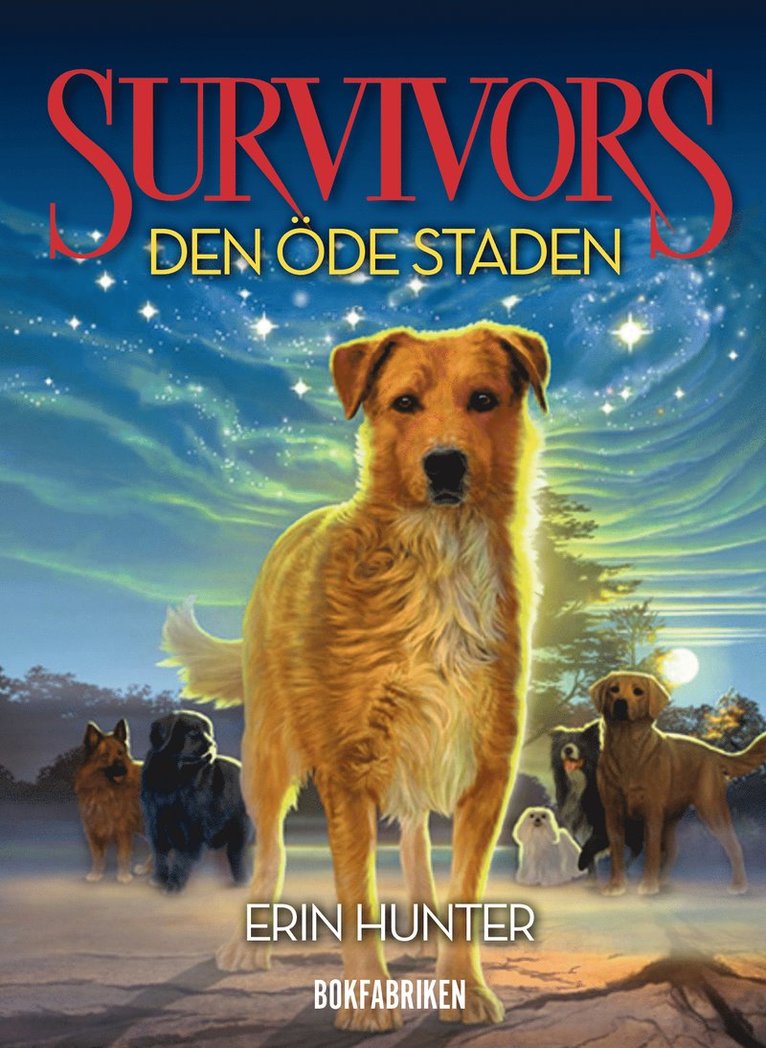 Den öde staden 1