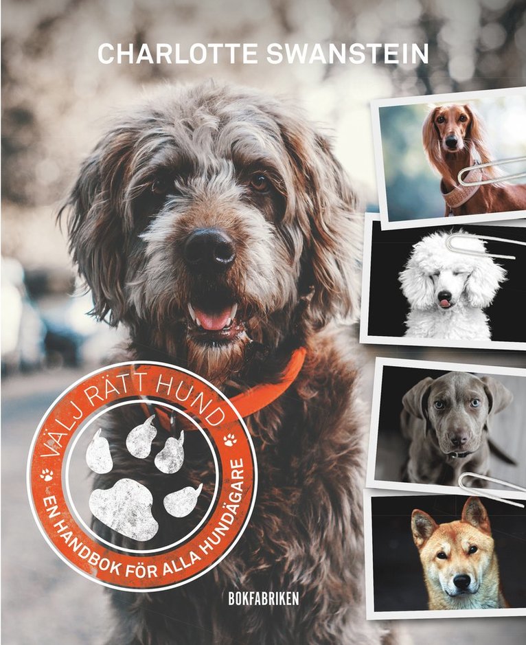 Välj rätt hund : en handbok för alla hundägare 1