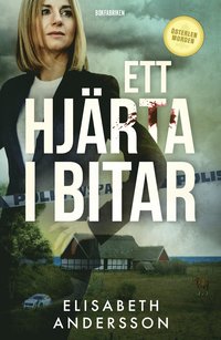 bokomslag Ett hjärta i bitar