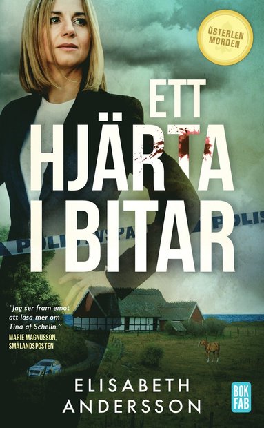 bokomslag Ett hjärta i bitar