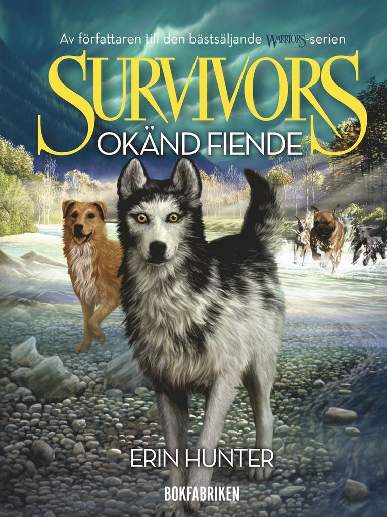 Okänd fiende 1