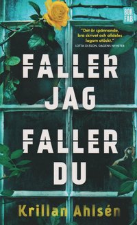 bokomslag Faller jag, faller du