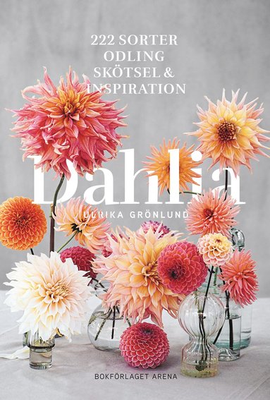 bokomslag Dahlia : 222 sorter, odling, skötsel och inspiration