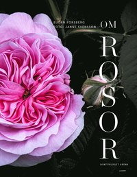 bokomslag Om rosor