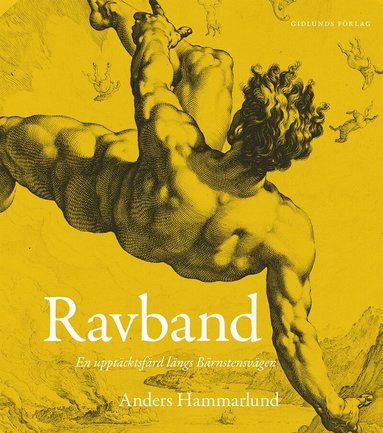 Anders Hammarlund - Ravband : en upptäcktsfärd längs Bärnstensvägen, Häftad