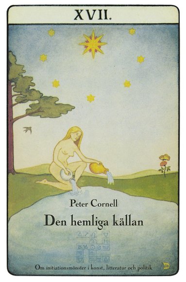 bokomslag Den hemliga källan : om initiationsmönster i konst, litteratur och politik
