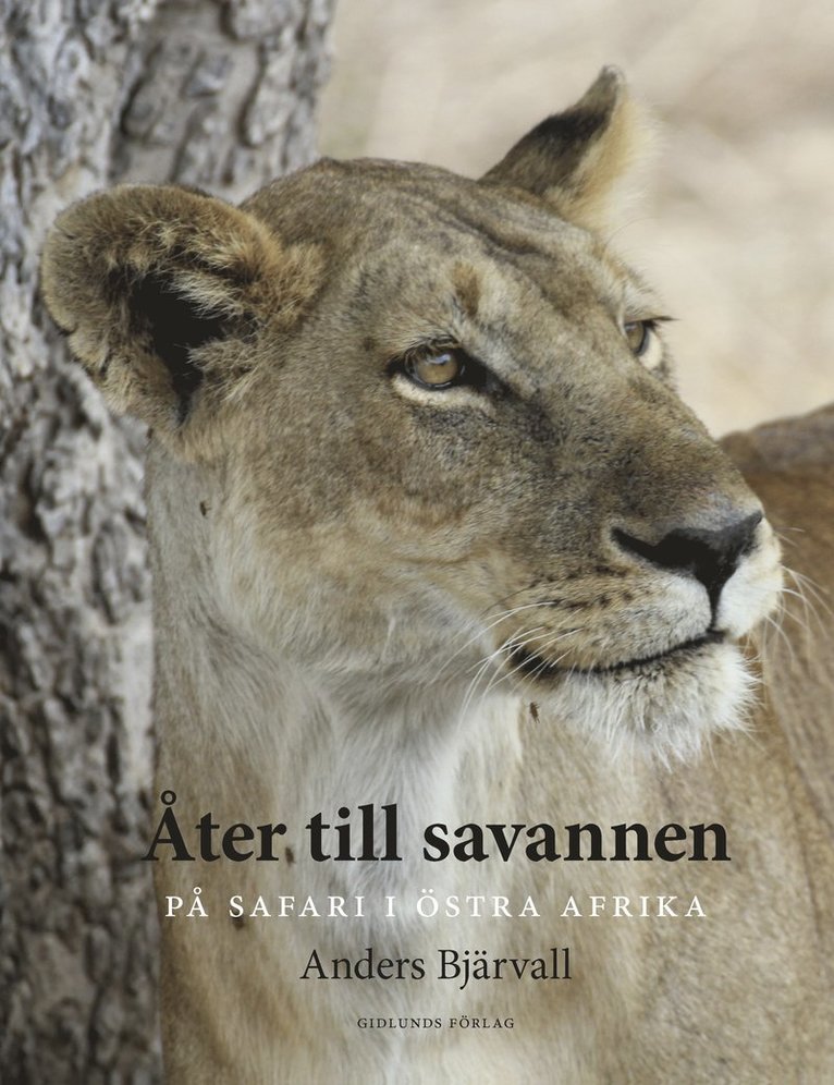 Åter till savannen : på safari i Östra Afrika 1