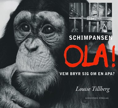 Louise Tillberg - Schimpansen Ola : vem bryr sig om en apa?, Inbunden