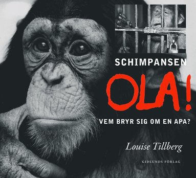 bokomslag Schimpansen Ola : vem bryr sig om en apa?