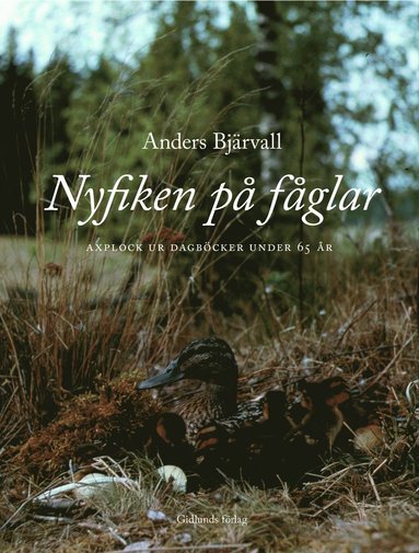 bokomslag Nyfiken på fåglar : Axplock ur dagböcker under 65 år
