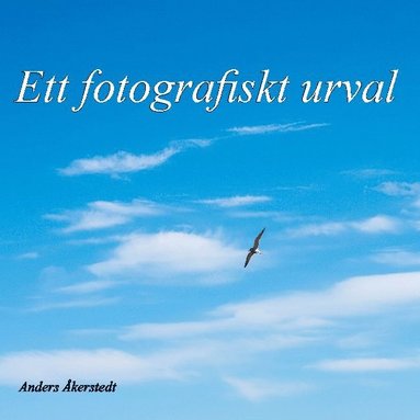 bokomslag Ett fotografiskt urval : Del 1