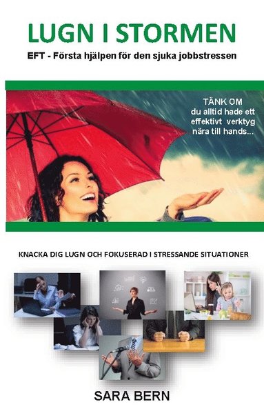 bokomslag Lugn i stormen : EFT - Första hjälpen för den sjuka jobbstressen