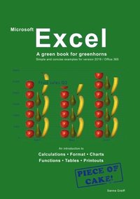 bokomslag Excel - A green book for greenhorns : For version 2019 / Office365