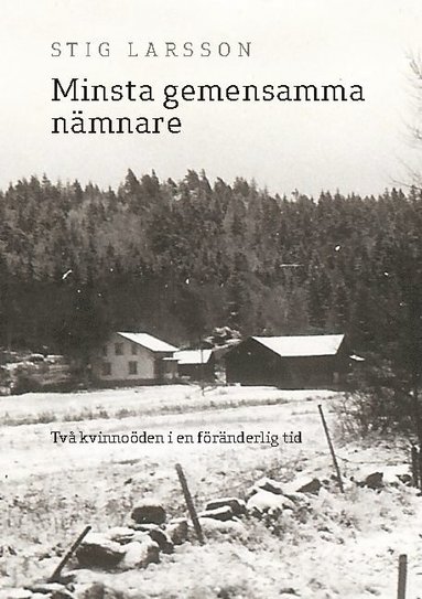 bokomslag Minsta gemensamma nämnare : två kvinnoöden i en föränderlig tid