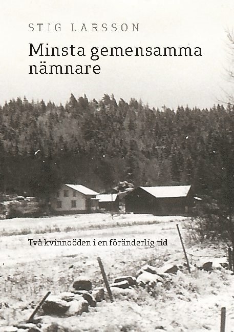 Stig Larsson - Minsta gemensamma nämnare : två kvinnoöden i en föränderlig tid, Inbunden