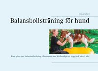 bokomslag Balansbollsträning för hund