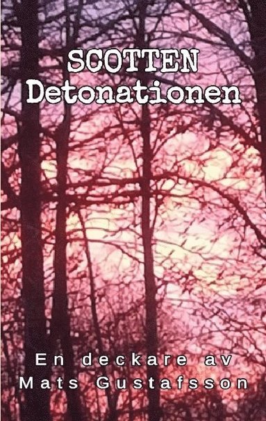 bokomslag Detonationen