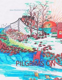 bokomslag Pilgrimsön : Hilda och Hulda, får oväntat besök