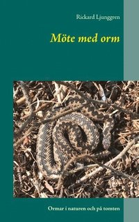 bokomslag Möte med orm : ormar i naturen och på tomten