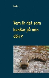 bokomslag Vem är det som bankar på min dörr?