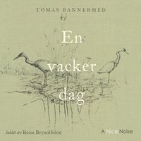 bokomslag En vacker dag