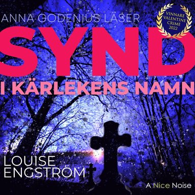 bokomslag Synd - i kärlekens namn