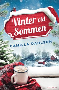 bokomslag Vinter vid Sommen