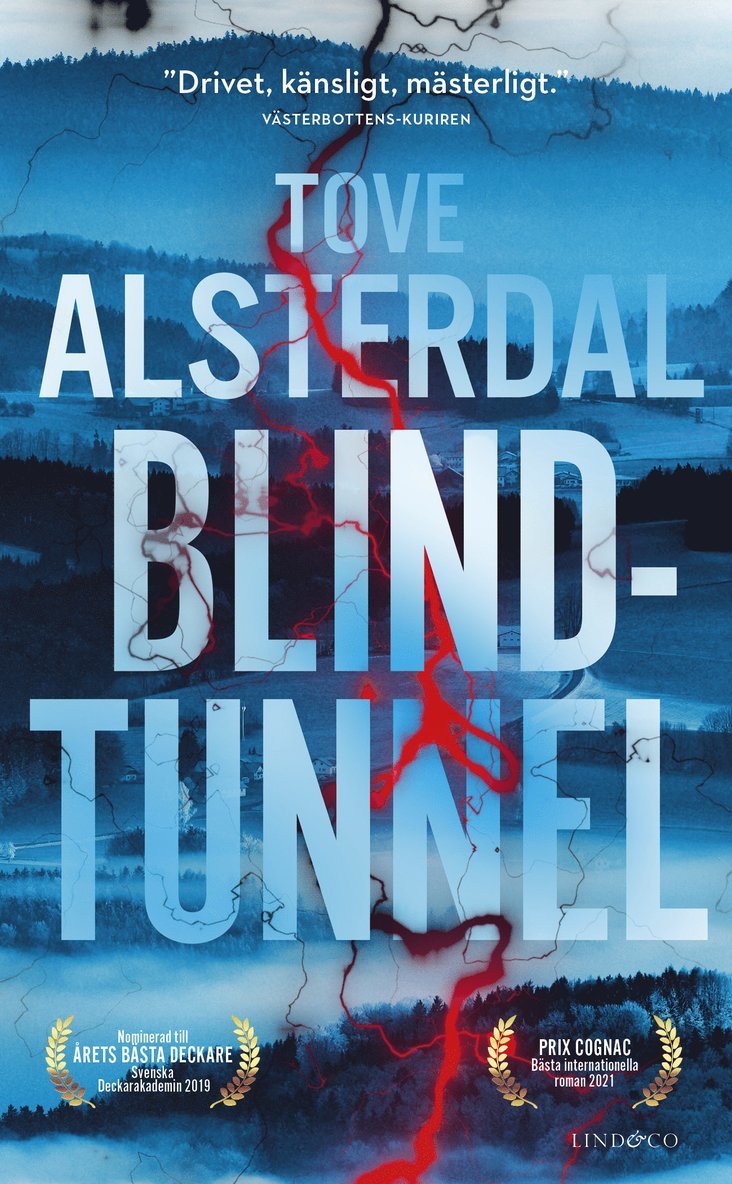 Blindtunnel 1