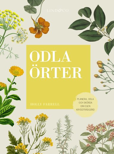 Holly Farrel - Odla örter : planera, odla och skörda  din egen kryddträdgård, Kartonnage
