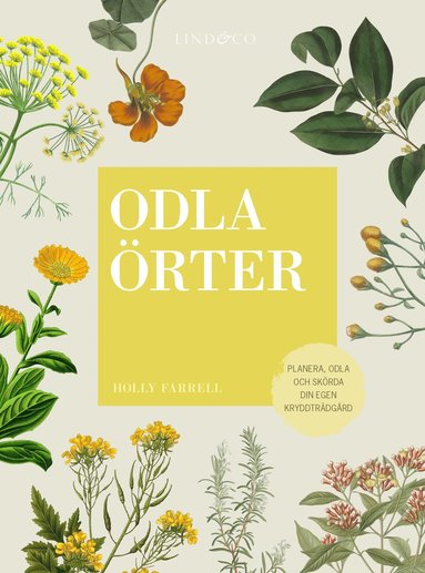 bokomslag Odla örter : planera, odla och skörda  din egen kryddträdgård
