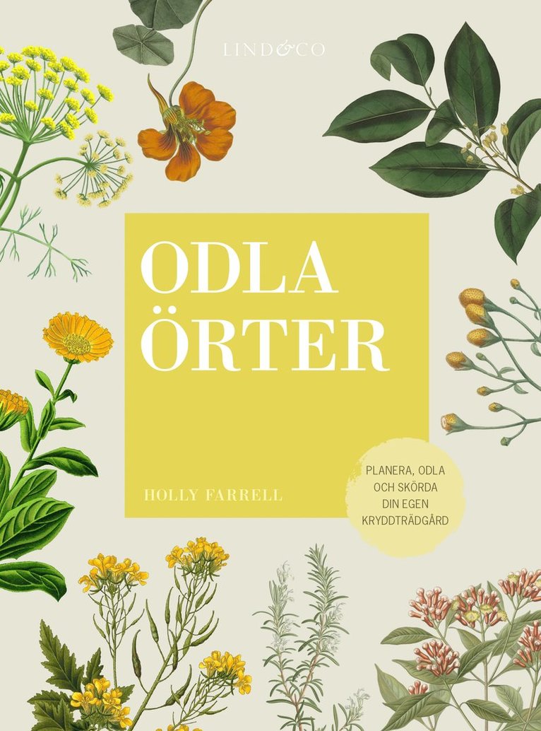 Odla örter : planera, odla och skörda  din egen kryddträdgård 1