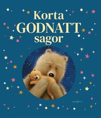 bokomslag Korta godnattsagor