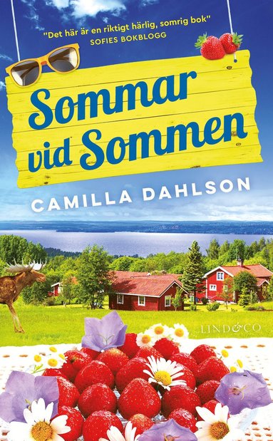 bokomslag Sommar vid Sommen