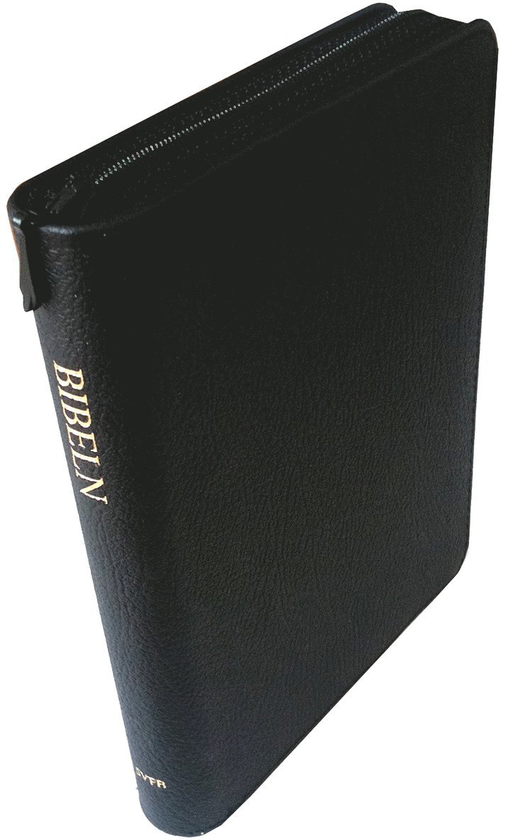 Bibeln : gamla och nya testamentet, Inbunden