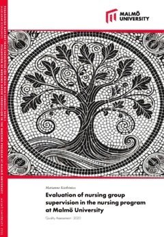 bokomslag Evaluation of nursing group dupervision in the nursing program at Malmö University : Quality Assessment - 2020