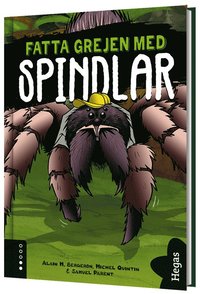 bokomslag Fatta grejen med spindlar