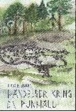 Händelser kring en runhäll