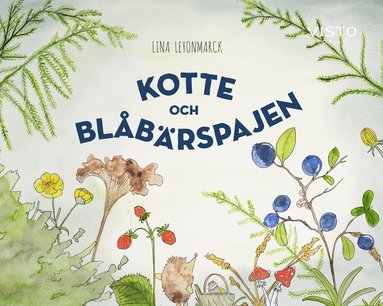 bokomslag Kotte och blåbärspajen