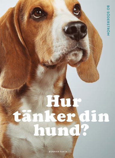 bokomslag Hur tänker din hund?