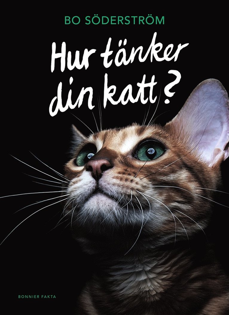 Hur tänker din katt?