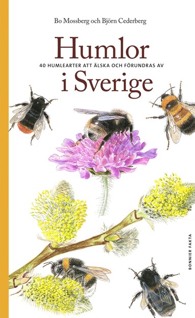bokomslag Humlor i Sverige : 40 arter att älska och förundras över