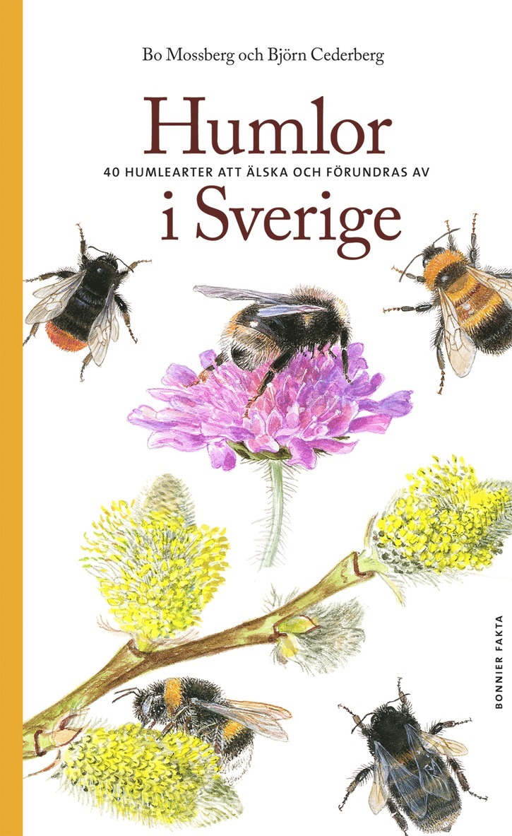 Humlor i Sverige : 40 arter att älska och förundras över 1
