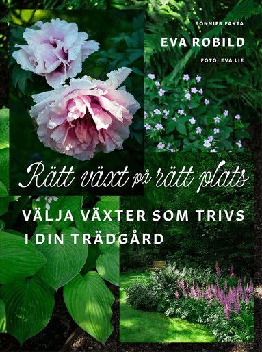 Eva Robild - Rätt växt på rätt plats : välja växter som trivs i din trädgård, Inbunden