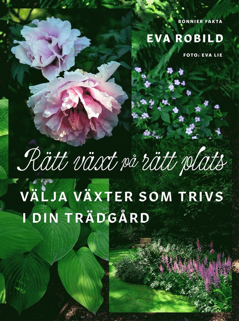 Rätt växt på rätt plats : välja växter som trivs i din trädgård 1