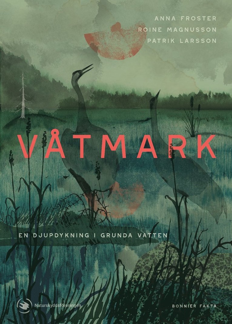 Våtmark : en djupdykning i grunda vatten