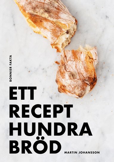 bokomslag Ett recept, hundra bröd