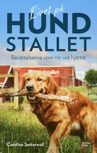 bokomslag Livet på Hundstallet : Berättelserna som rör vid hjärtat